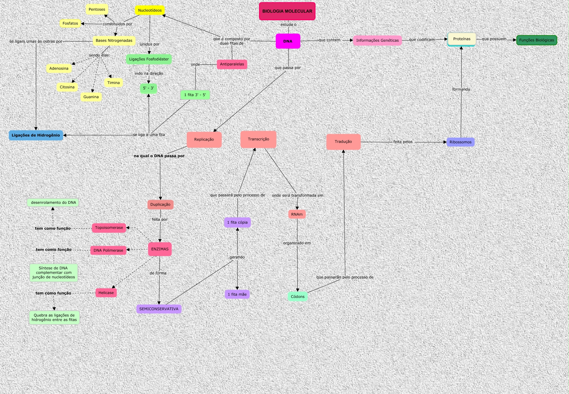 Mapa conceitual (3) (1) - Biologia Celular